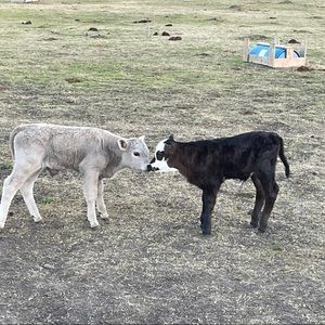 Meet your Posher, Parker